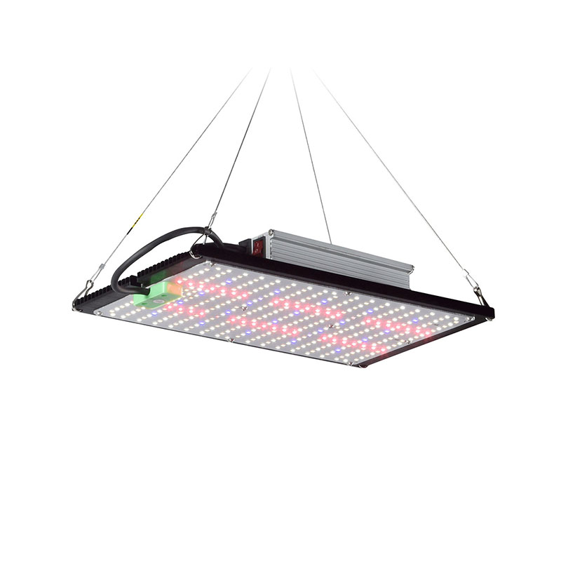 LED 퀀텀보드 식물 재배 조명, 실내 온실 채소 및  - Plant Grow Light Full Spectrum 리뷰 및 가격