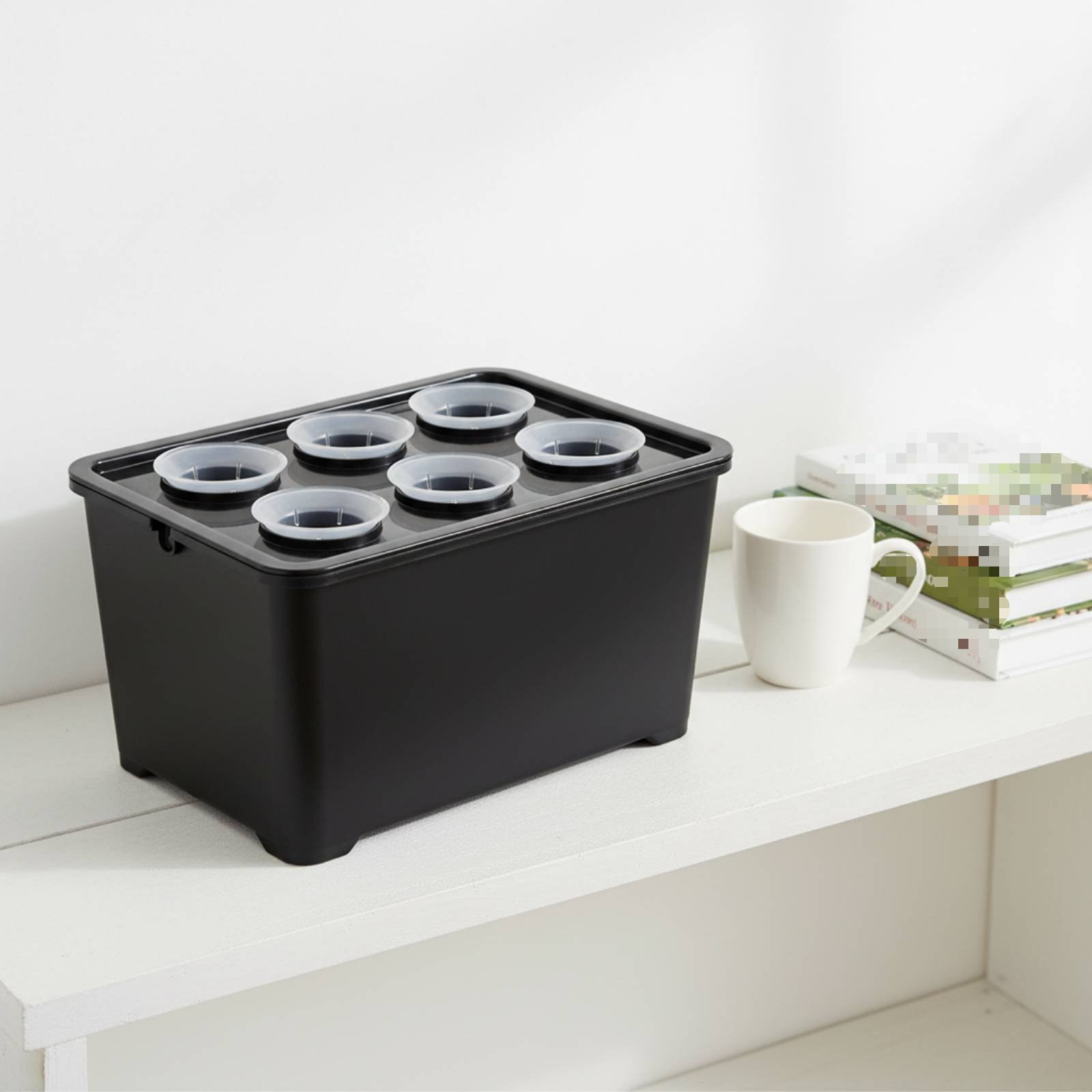 수경재배 박스 햇빛에 적합한 수경재배 상자 씨앗 포드  - Indoor Garden Kit 리뷰 및 가격