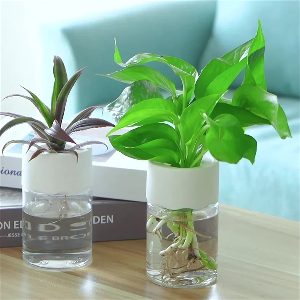 미니 수경 재배 화분 투명 무토양 식물 화병 홈데코 모 - Hydroponic Grow Pod 리뷰 및 가격
