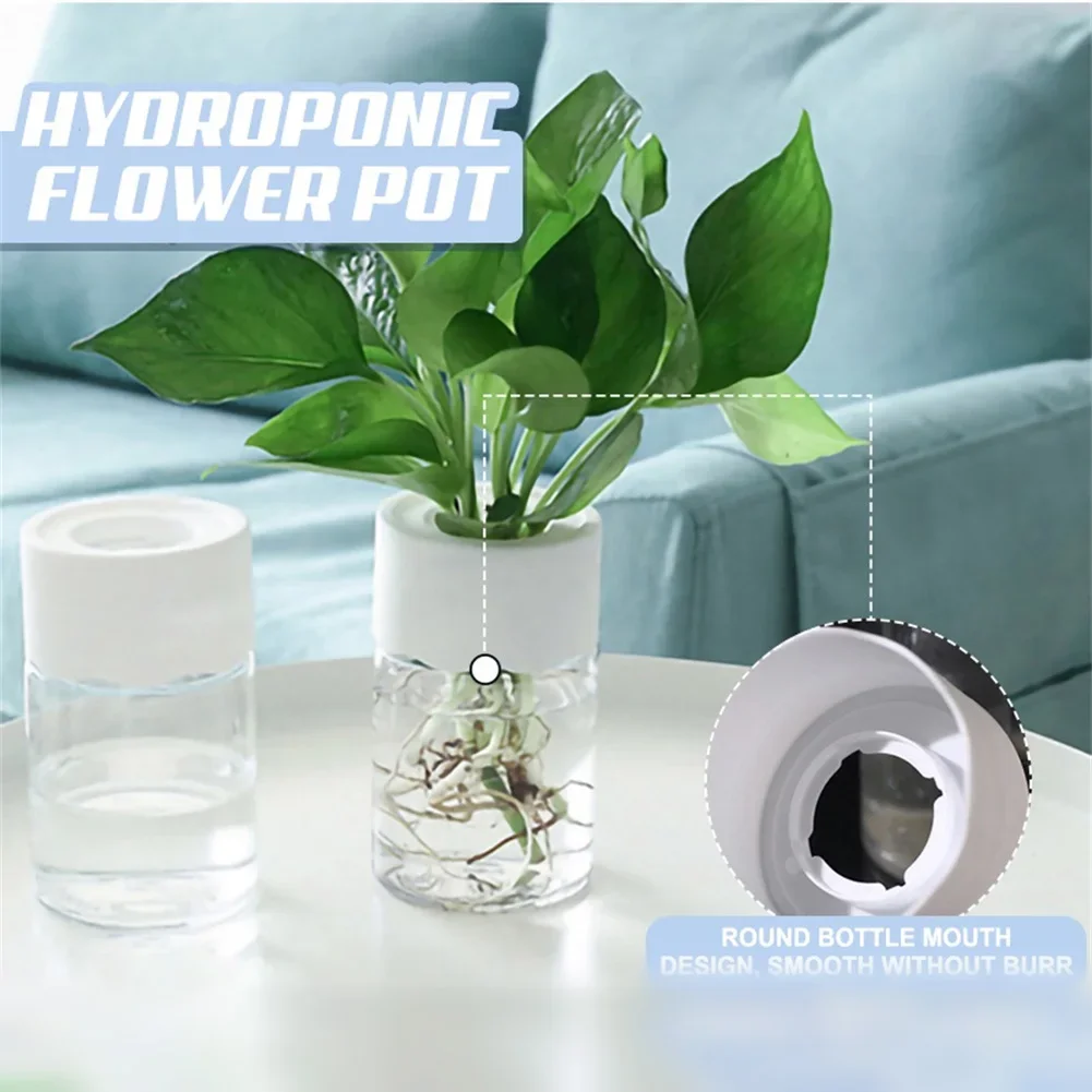 미니 수경 재배 화분 투명 무토양 식물 화병 홈데코 모 - Hydroponic Grow Pod 리뷰 및 가격