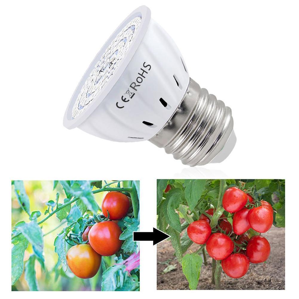 LED 성장 전구 E27 60 80LED 풀 스펙트럼  - Plant Grow Light Full Spectrum 리뷰 및 가격