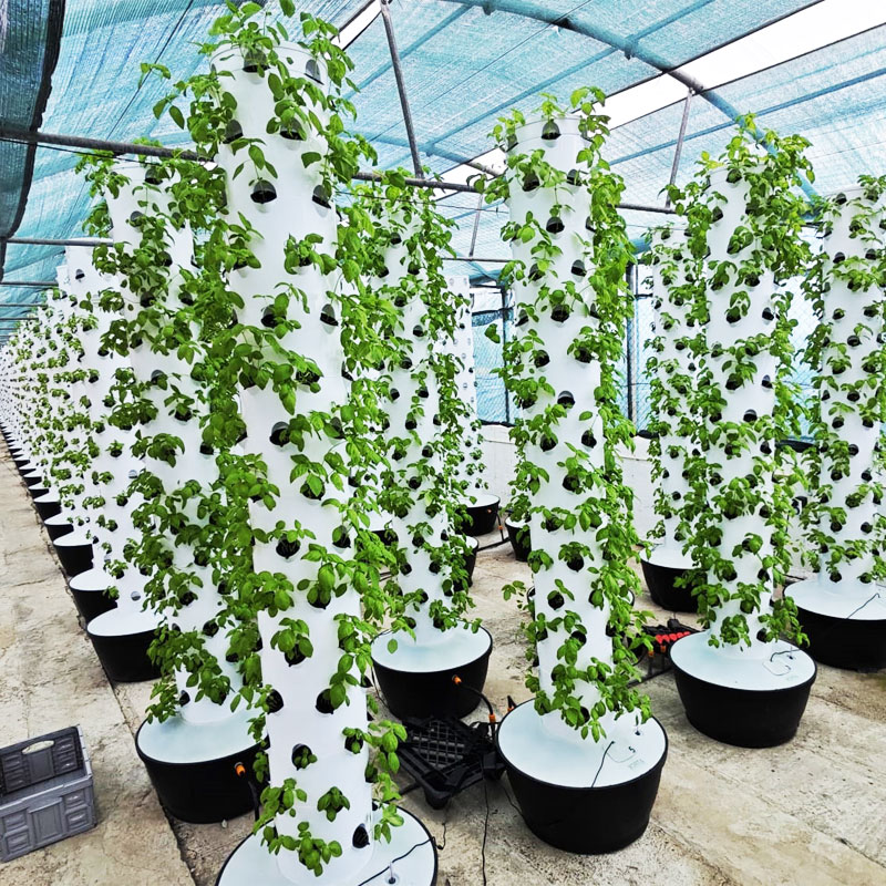 고품질 간편 설치 소형 수직 수경 재배 타워 시스템 온 - Hydroponic Tower 리뷰 및 가격