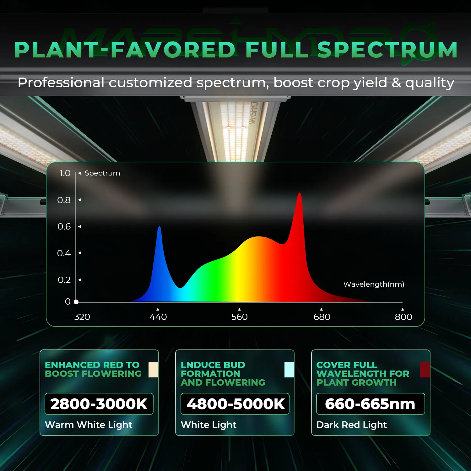 480W 마스 하이드로 FC-E4800: 경제적인 가격 - Grow Light Led 리뷰 및 가격