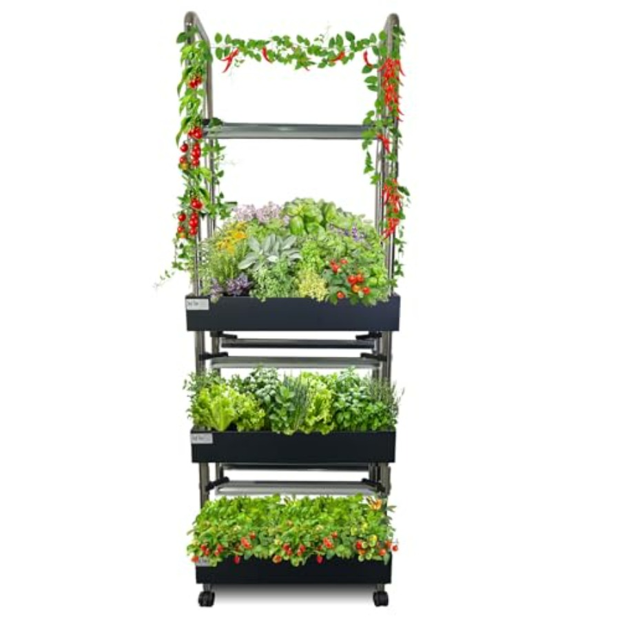 실내 수경재배 시스템: 스마트 풀스펙트럼 조명, 자동  - Smart Garden System 리뷰 및 가격