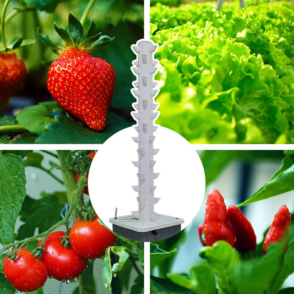 수직 수경 재배 타워 에어로포닉 타워 (허브, 과일 및 - Hydroponic Tower 리뷰 및 가격