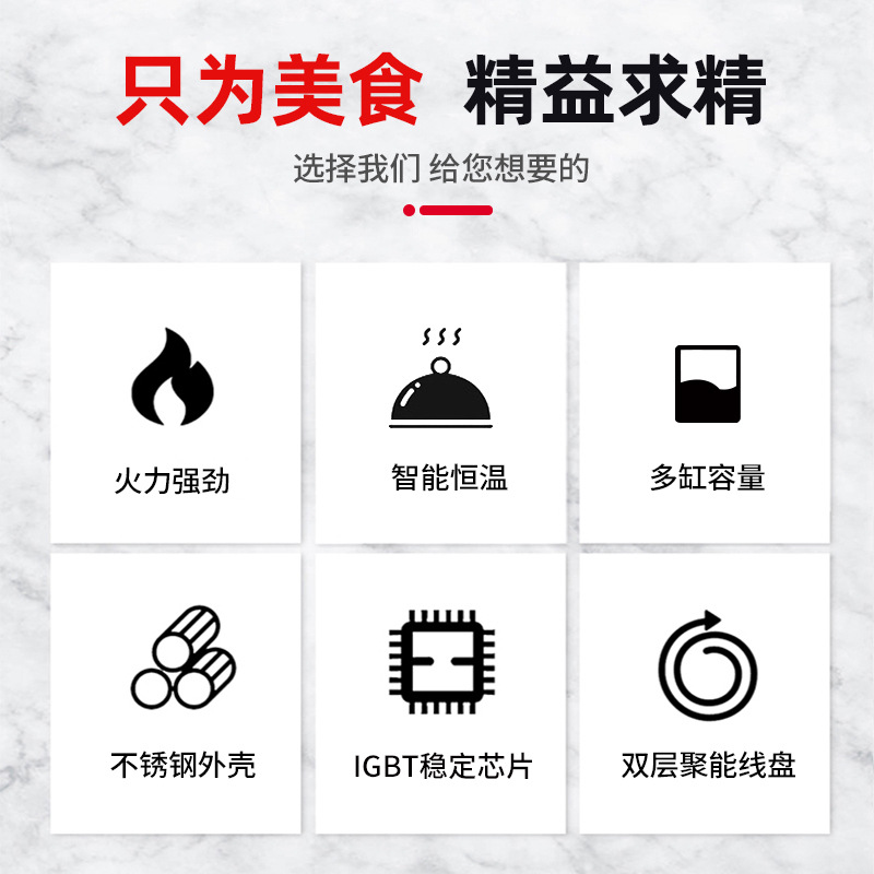 상업용 인덕션 수프 워머, 듀얼 포트, 스마트 온도 조 - Smart Pot 리뷰 및 가격