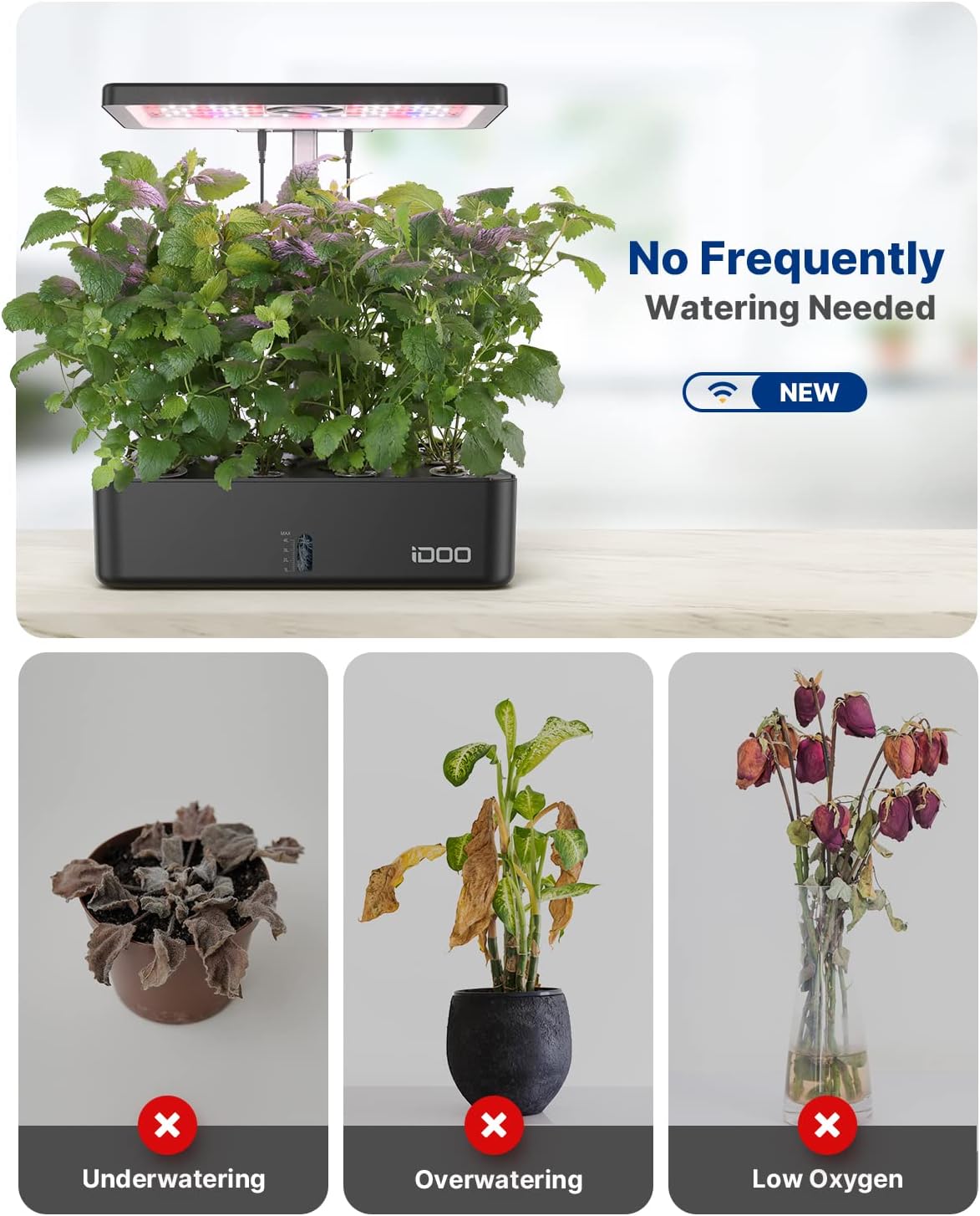 12포드 와이파이 수경재배 시스템 실내 정원 허브 키트 - Indoor Garden Kit 리뷰 및 가격
