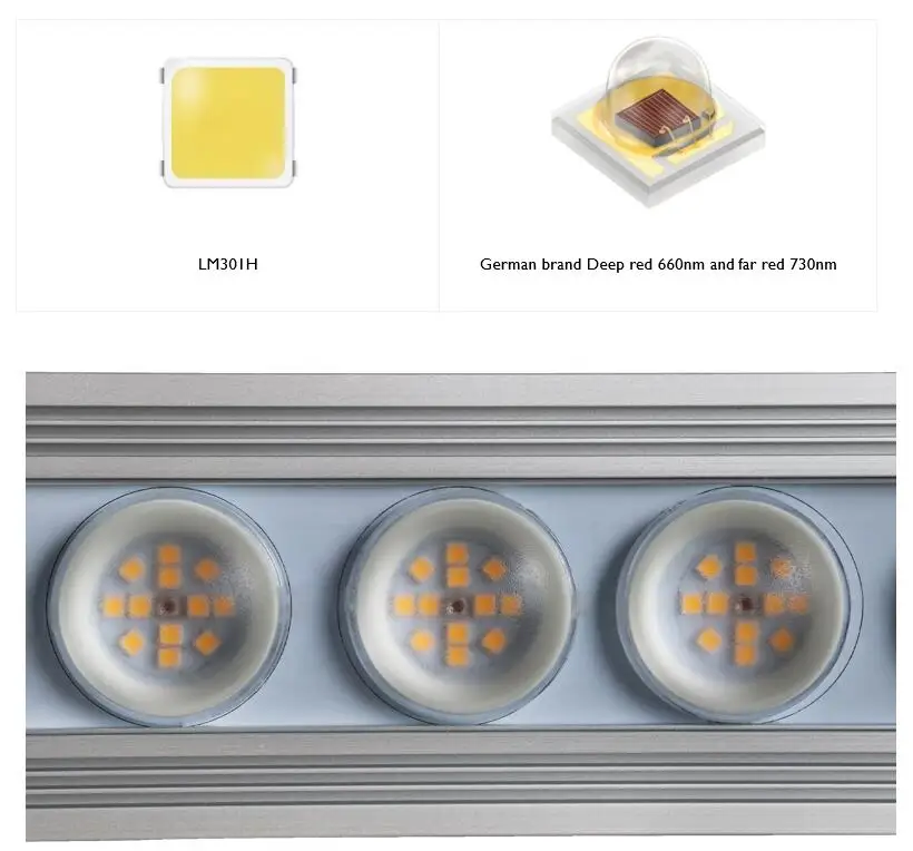 코레이 900W 실내용 풀 스펙트럼 식물등 LED 스트 - Plant Grow Light Full Spectrum 리뷰 및 가격